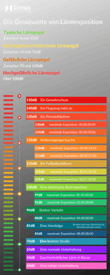 FRDE Noise limit poster